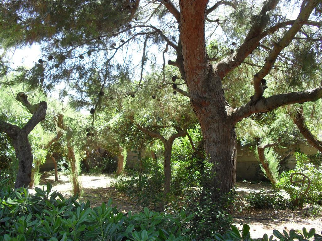 Villa Cino Punta Prosciutto Exterior photo